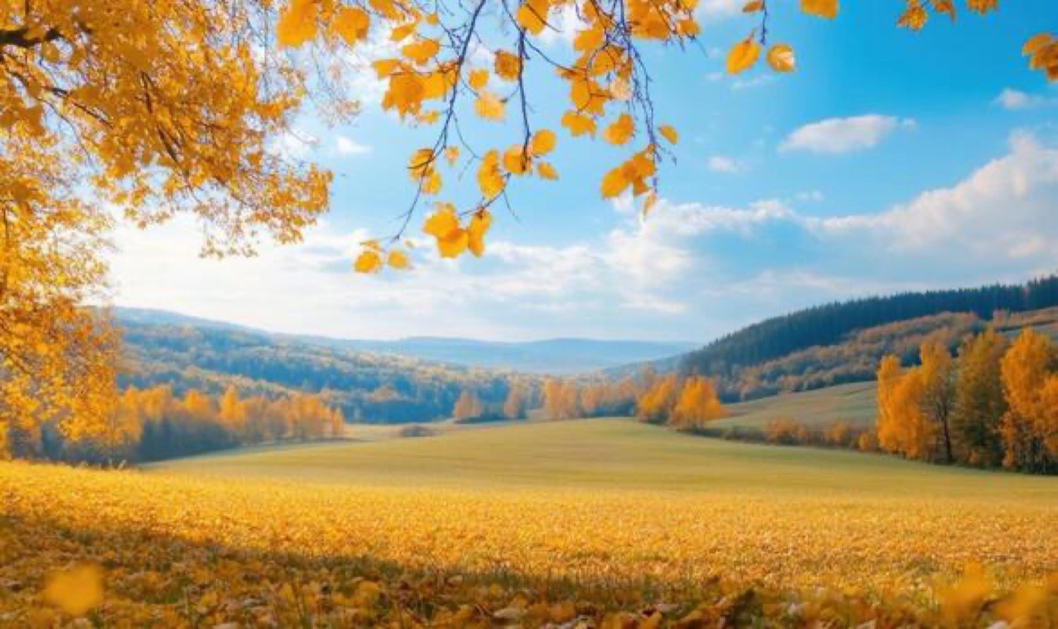Autumn landscape with rolling hills